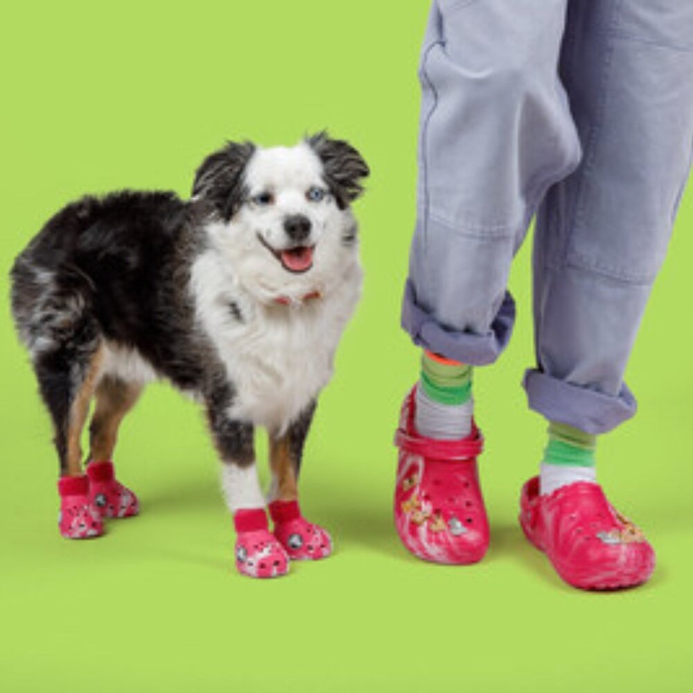Pet Crocs Boots in Dragon Fruit Color (Glow in the dark), Size Small